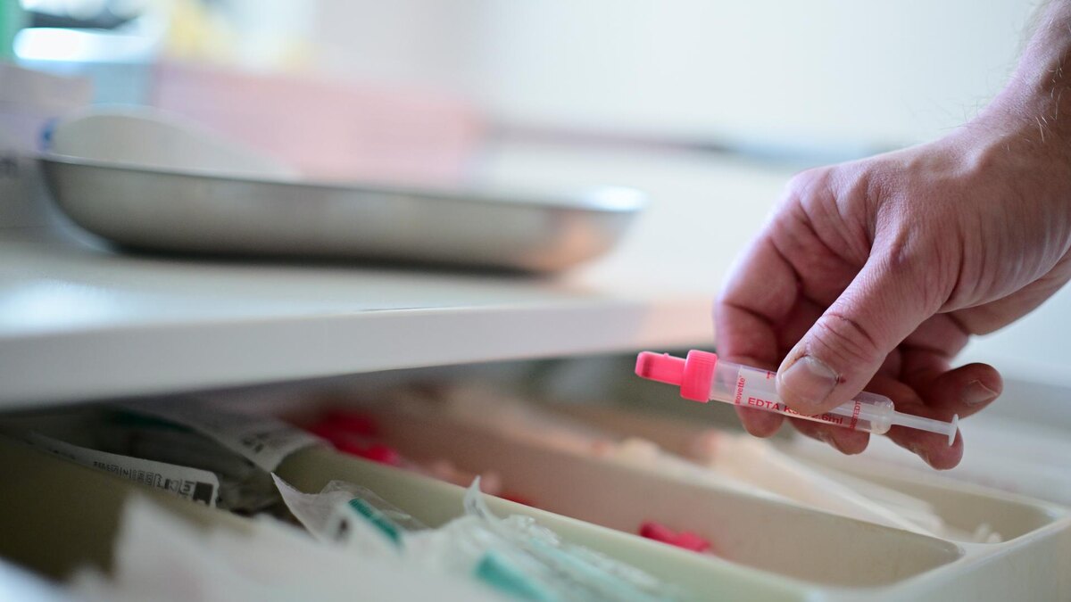    Фото: Sebastian Gollnow/globallookpress.com