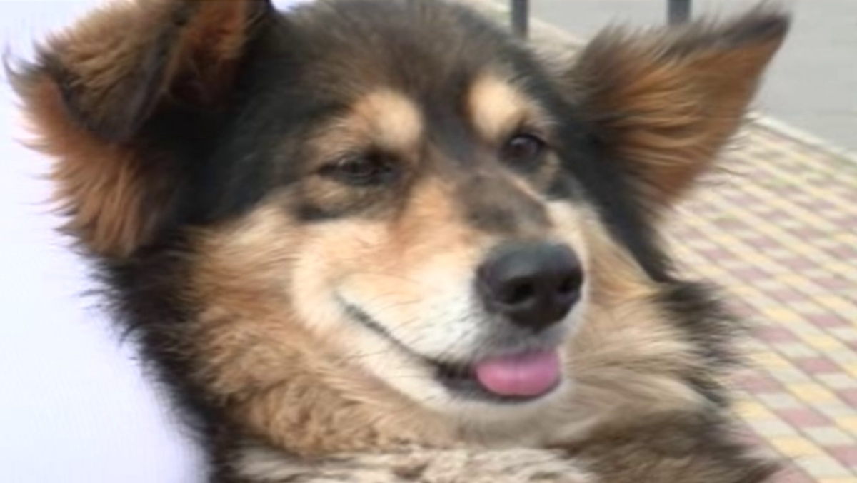    Они объединились, чтобы помогать нашим бойцам в курском приграничье