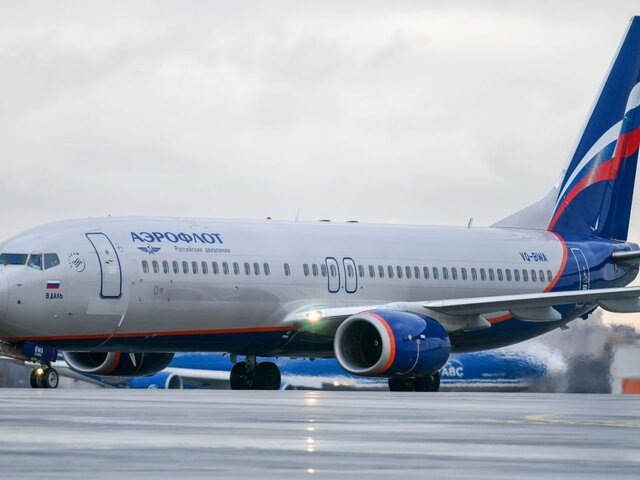    Фото: Москва 24/Антон Великжанин