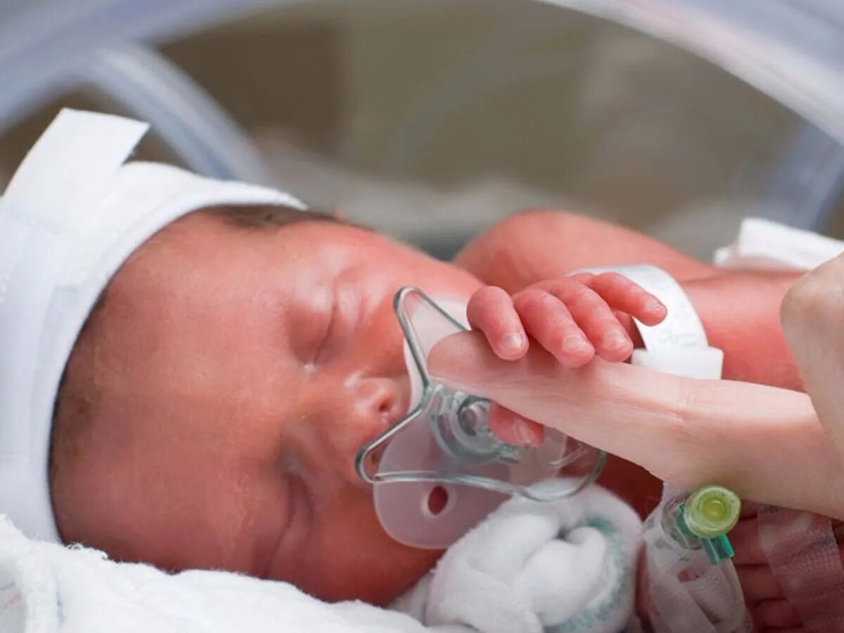 Источник https://avatars.mds.yandex.net/i?id=d7e910ea5e78b4055768ad798ae81e9c_l-12472935-images-thumbs&n=13