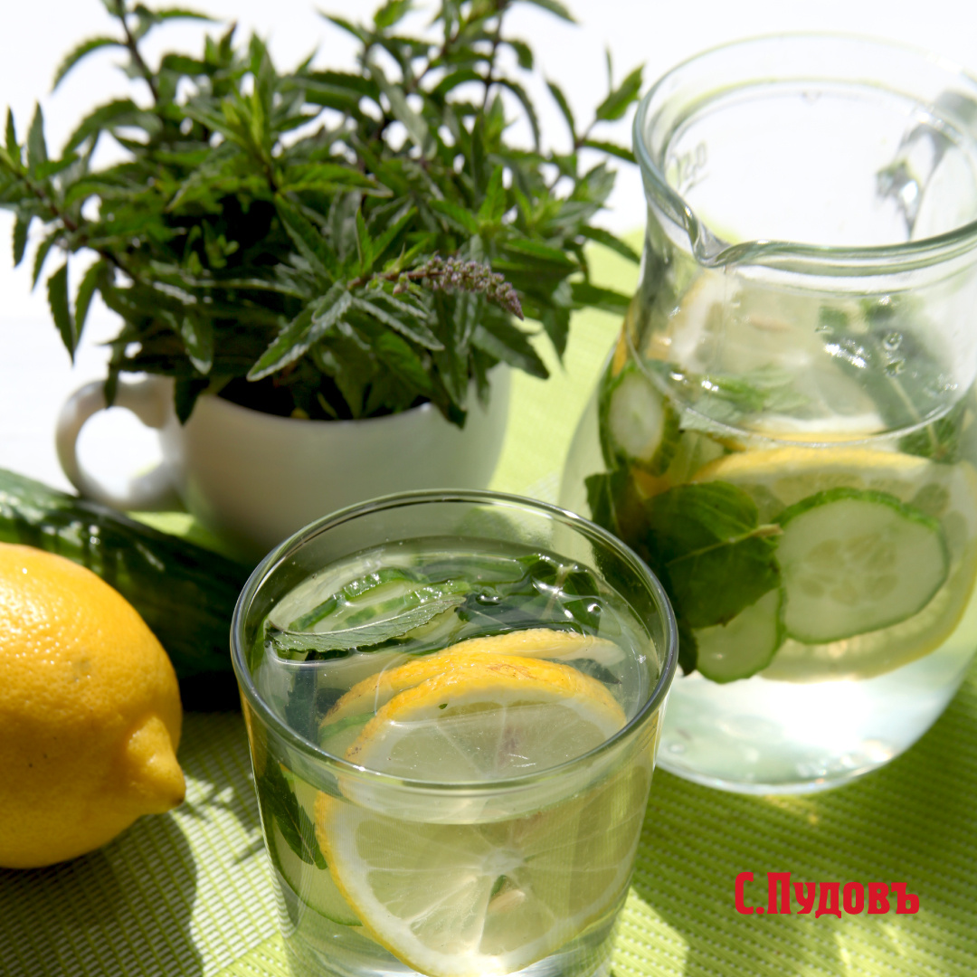 Сегодня отмечается День мятного напитка