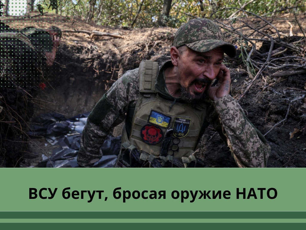 Фото: cdnvideo.ru