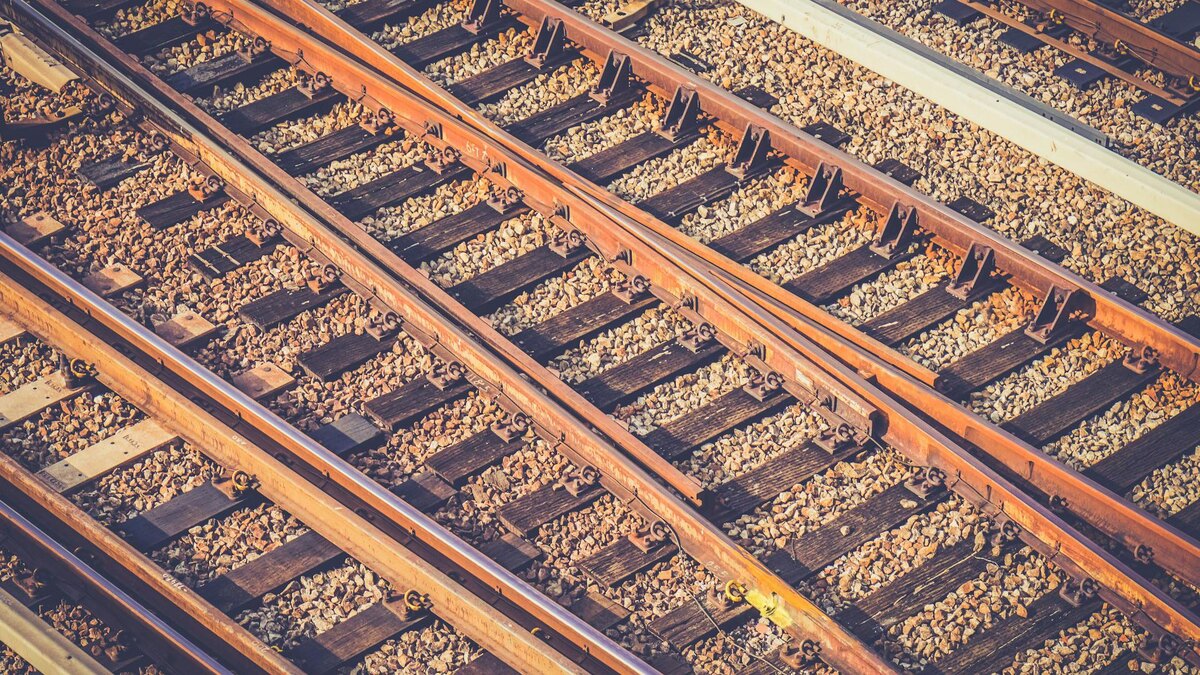    Фото: unsplash.com