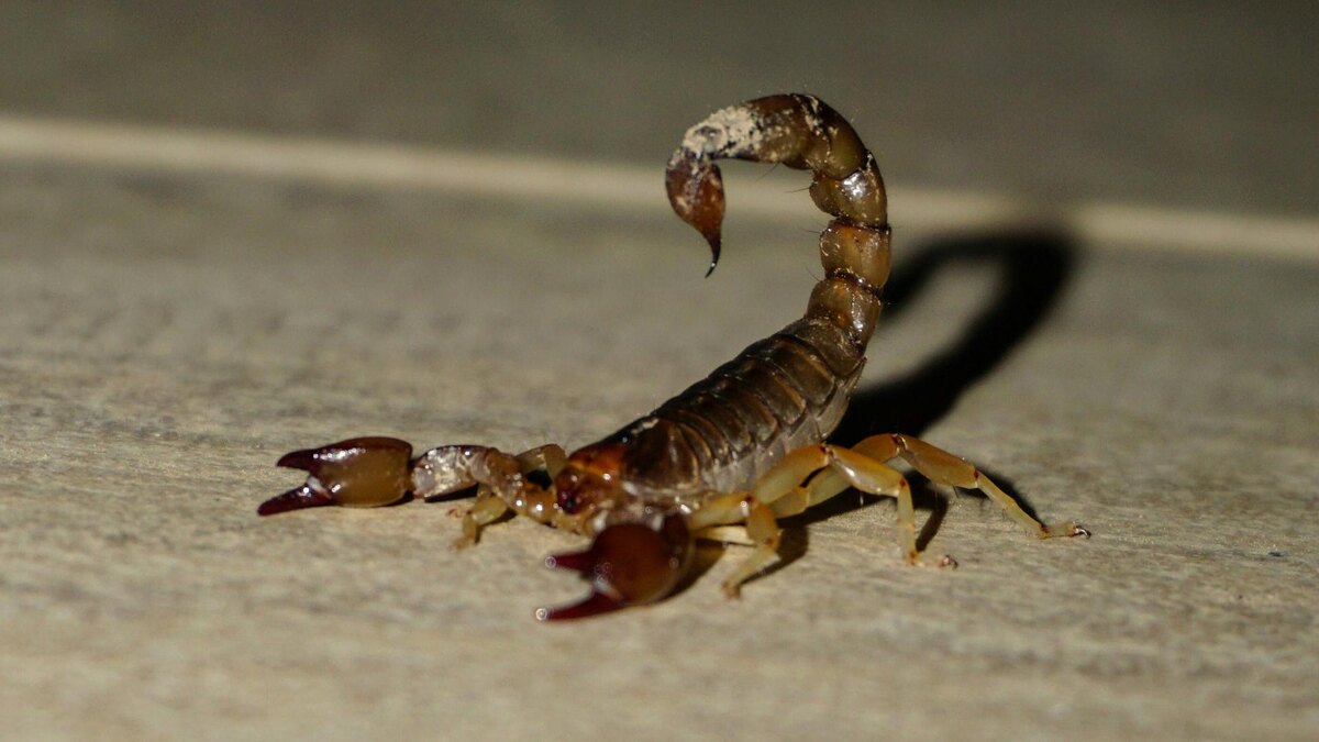 Фото: unsplash.com