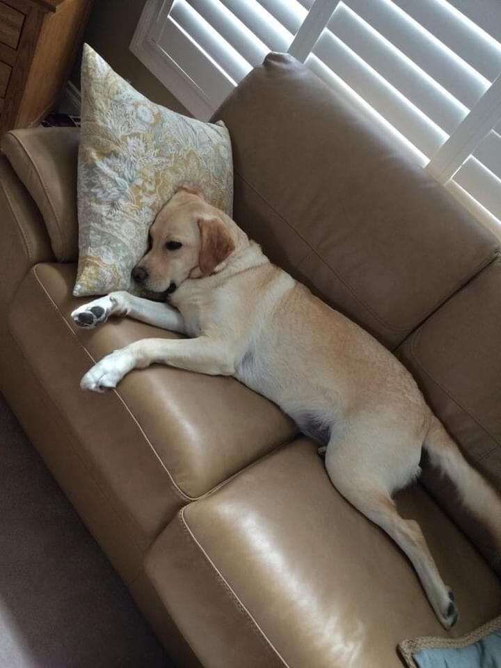 Примерно так вела себя мать на приеме