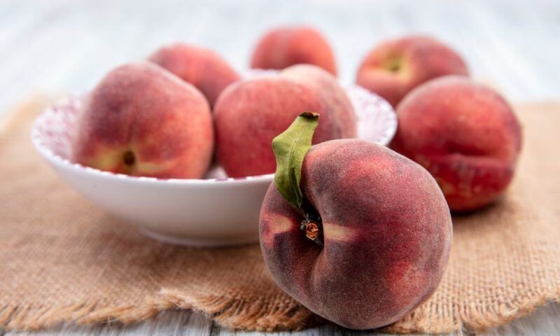    Фото freepik.com