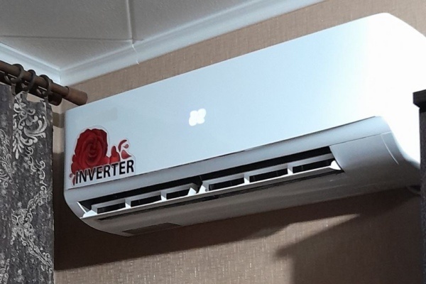    Фото Елены Меркуловой. admin