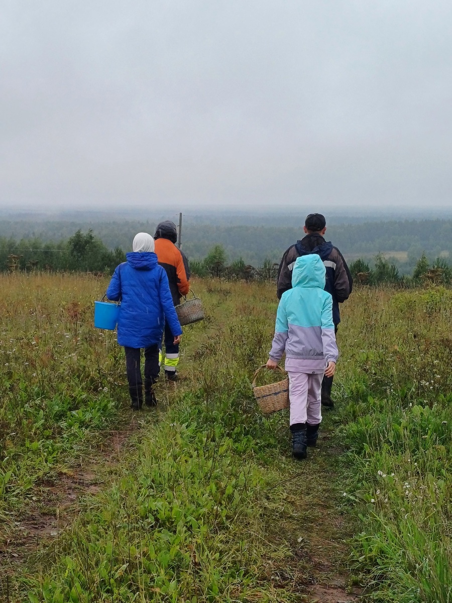   В нашем лесу завелся необычный гриб: во Франции считается одним из самых дорогих и деликатесных