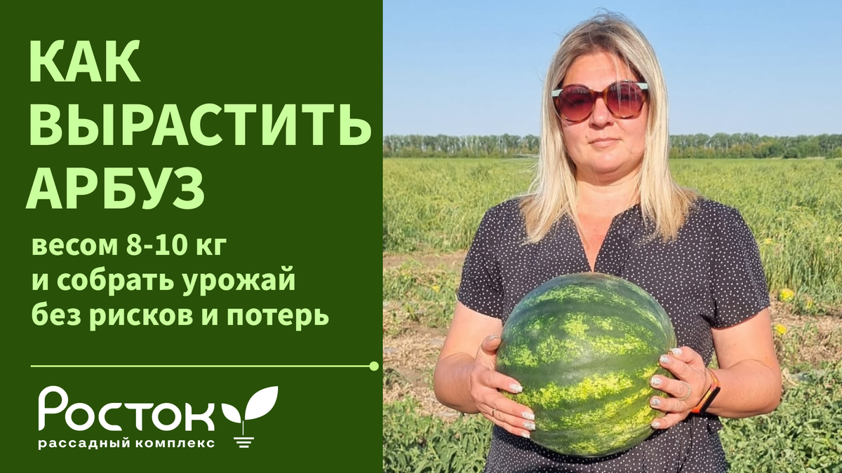 выращивание арбуза более 10 кг