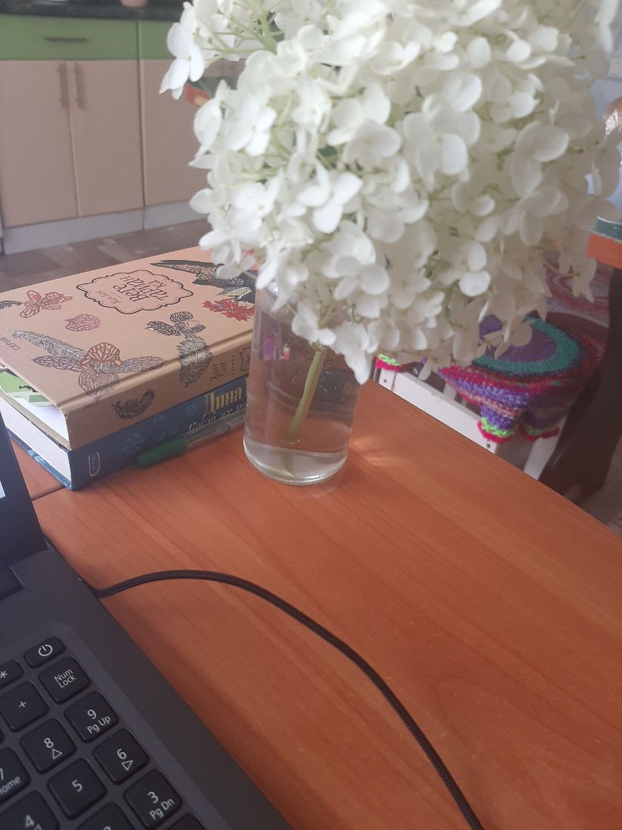 Жду, когда в НН назначат дату на подключение проводного интернета