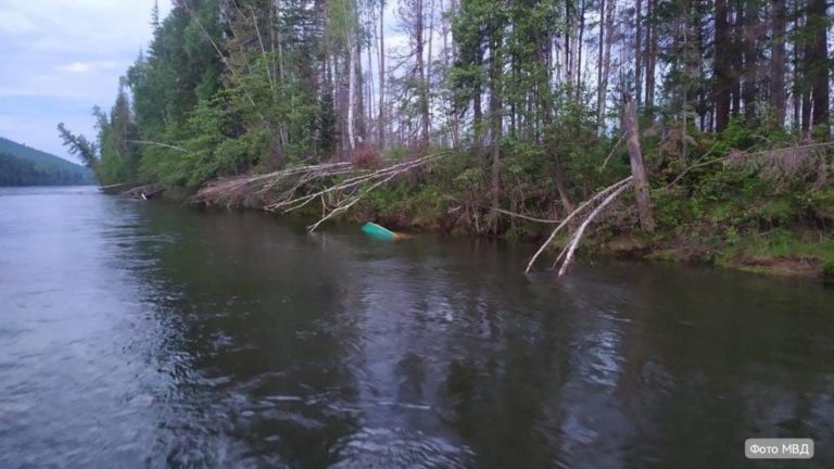    Фото из телеграма МВД Ксения Евдокимова