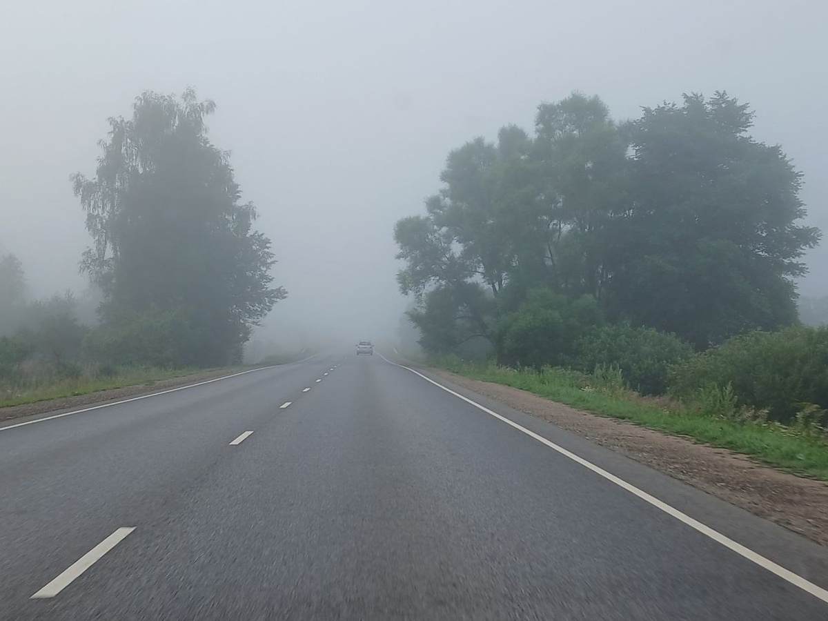 Не ели, но лучшего фото по пути сделать не довелось)