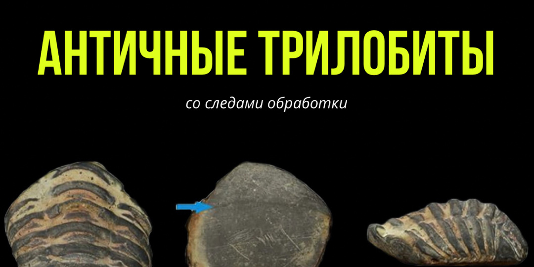 На римском памятнике впервые обнаружили обработанные человеком остатки трилобита