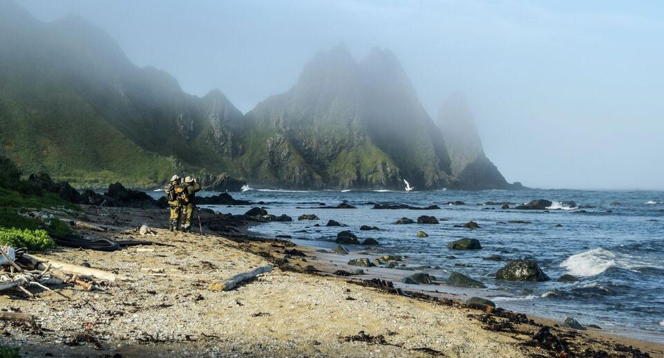    РИА «Новости»