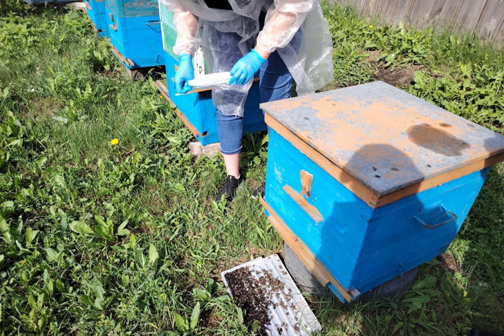 Фото Управления ветеринарии Усть-Таркского района