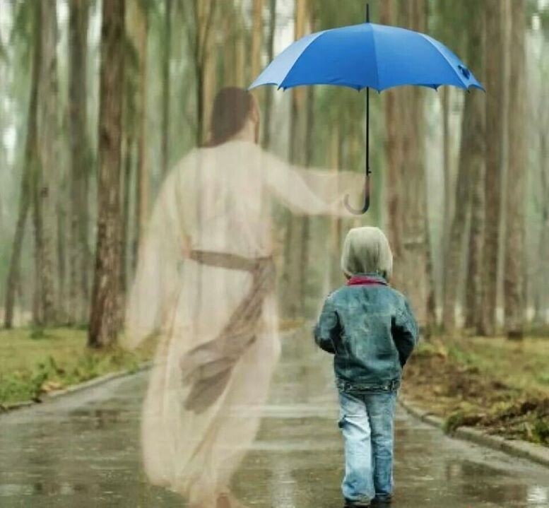 Яндекс картинки