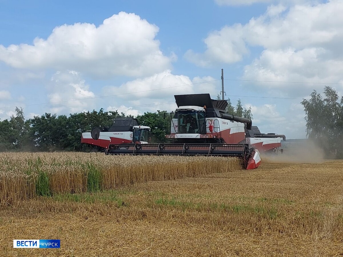    Врио губернатора Курской области дал старт уборочной кампании в Курчатовском районе