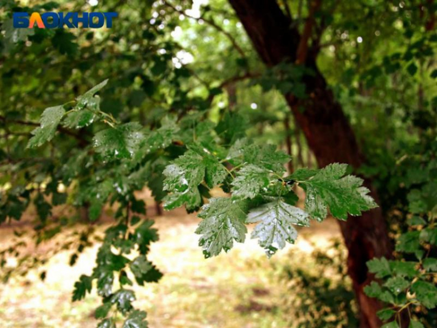 Фото: читательница "Блокнот Краснодар"