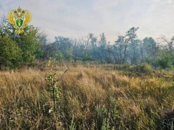 Источник фото: Прокуратура Ростовской области