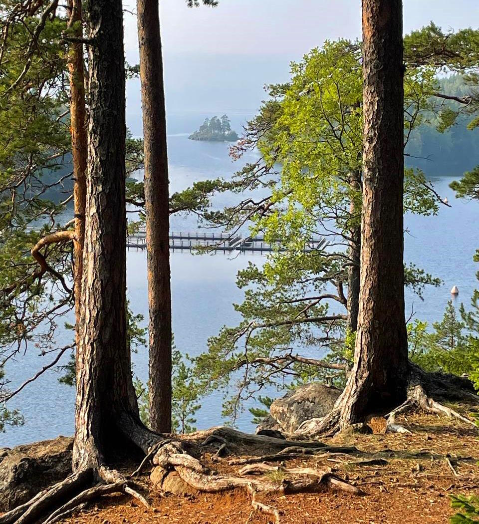 На Валааме туристы неизменно восхищаются северной природой