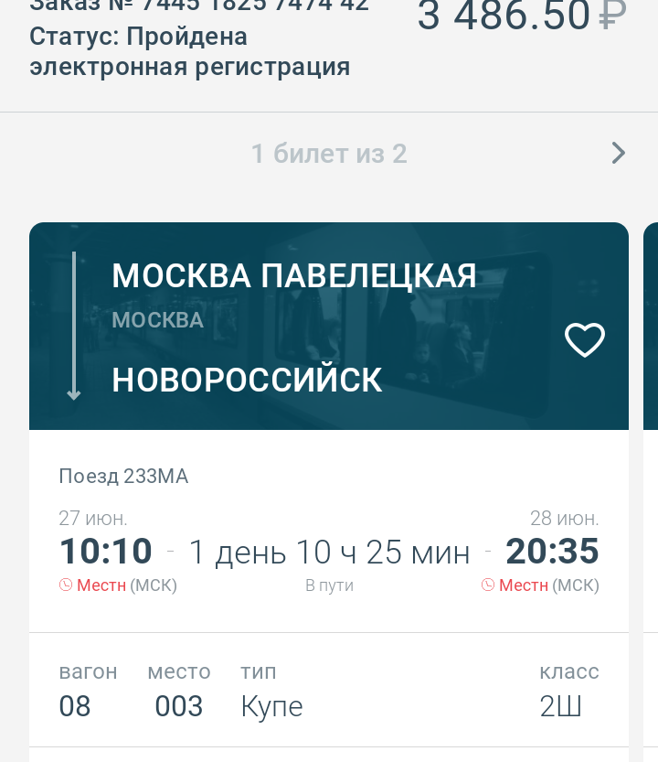 Детский билет