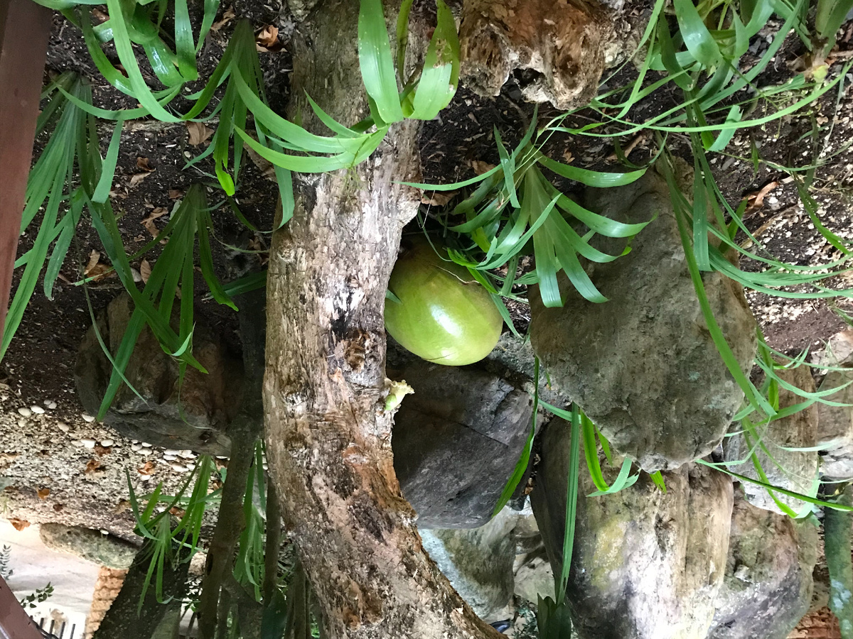 Продвижение блога о путешествиях, жизнь за границей Таиланд, Пхукет, Индонезия, Бали, Вьетнам, Нячанг, Филиппины, Дубай, Китай, Куала-Лумпур, Сингапур, Камбоджда, Лаос, Гуанчжоу, Египет, Мальдивы, Сейшелы, Панама, Гонконг, Маврикий, Танзания, Оман, Макао