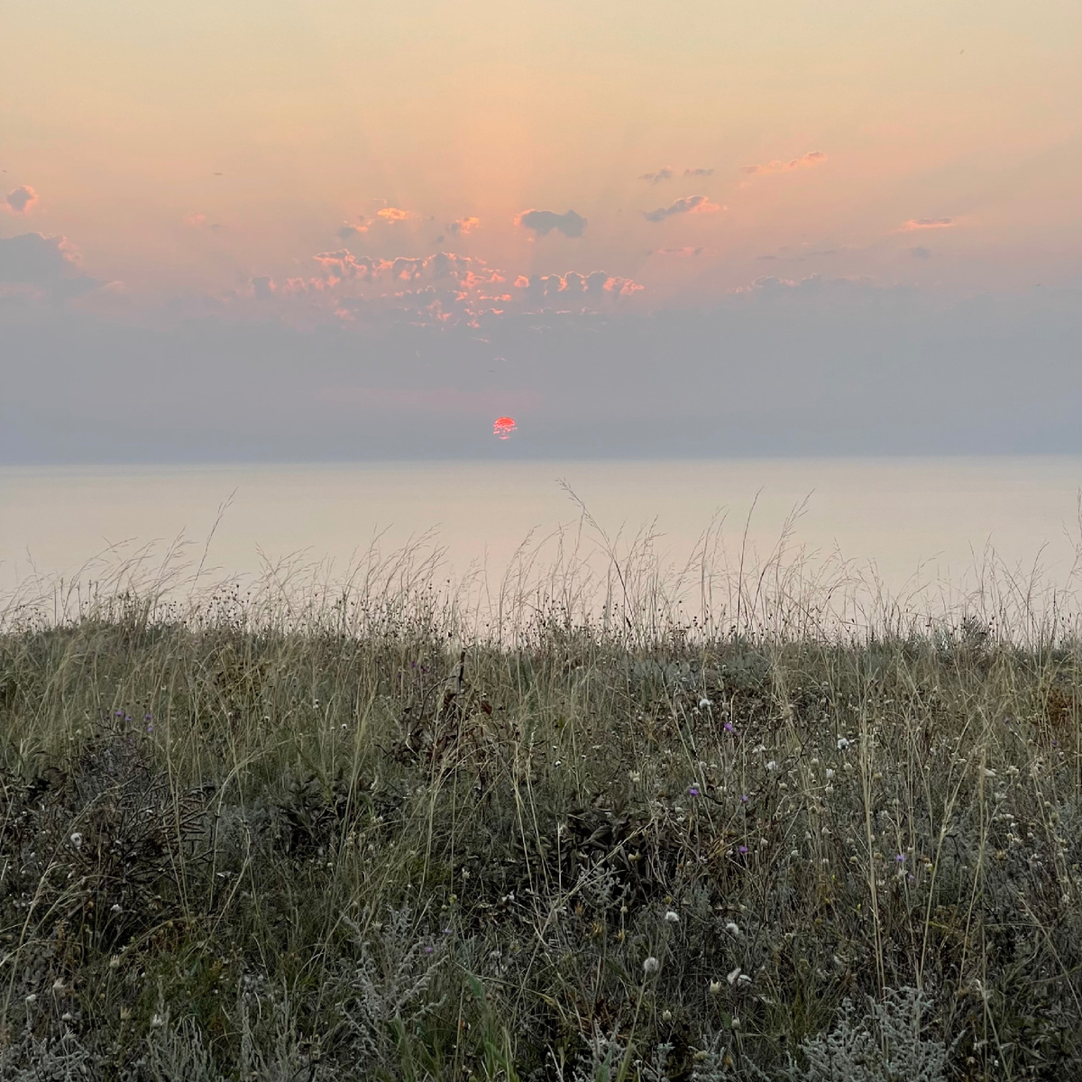 Крым, Тарханкут