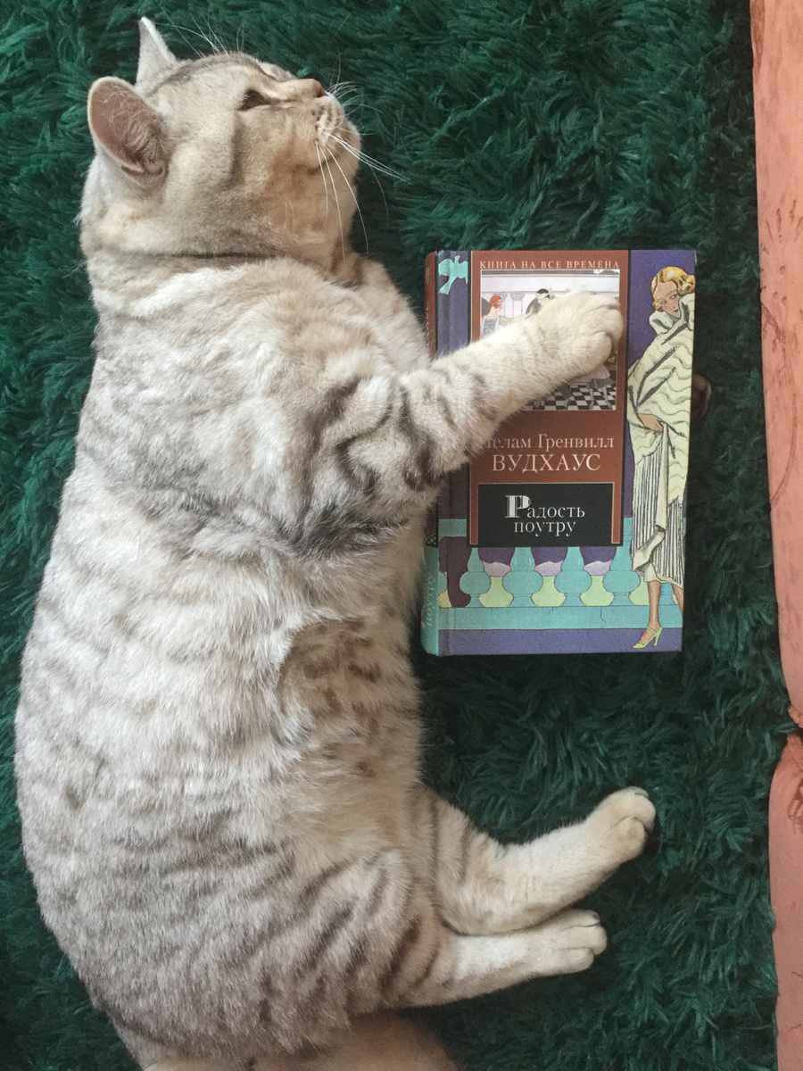 Гриша любит Вудхауса 