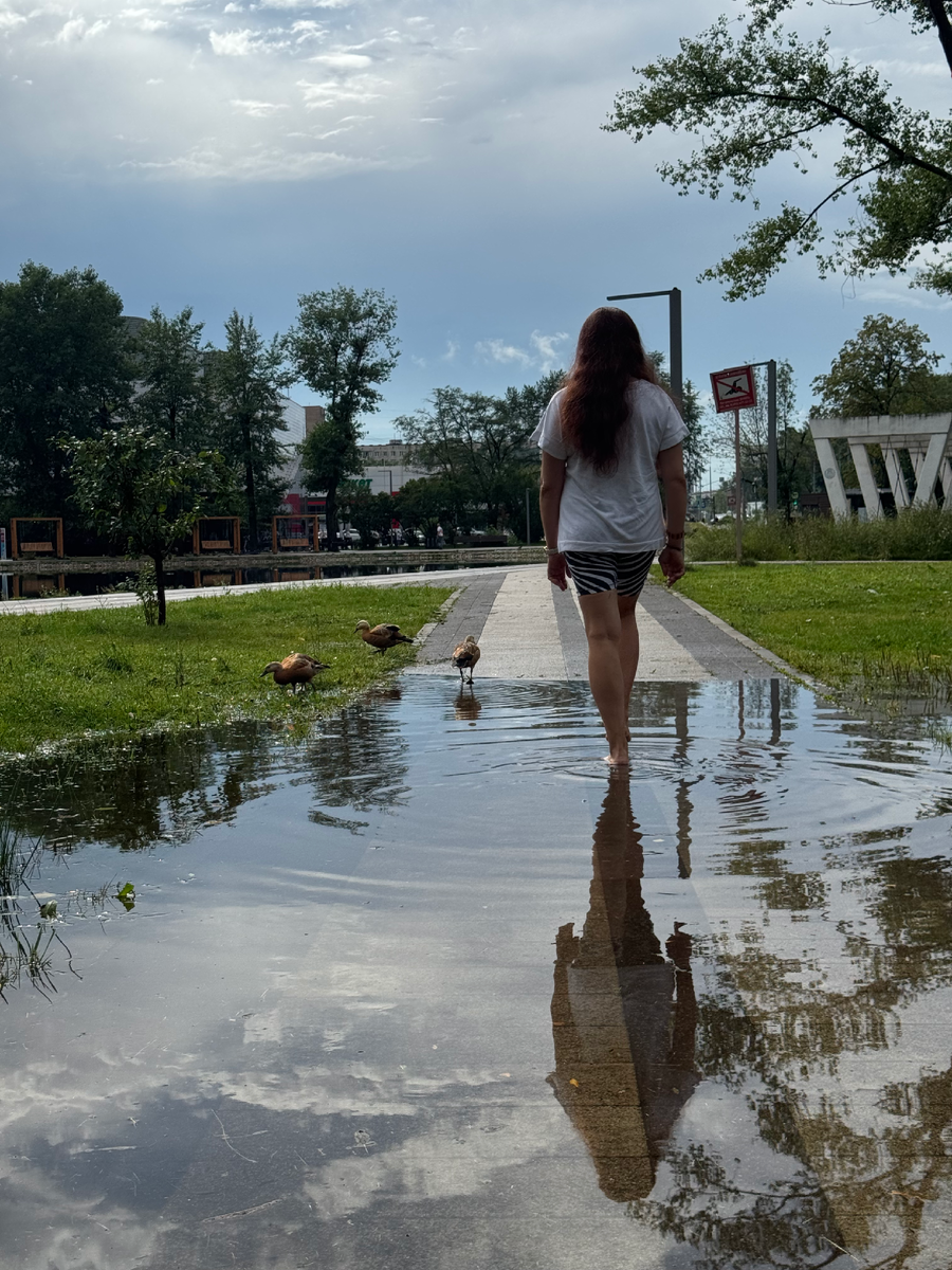 Читайте внимательно. 