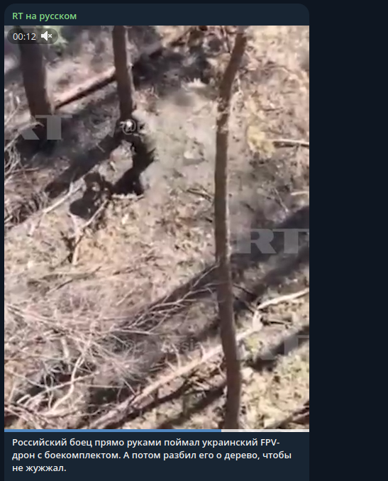    Фото: скриншот Telegram/RT на русском