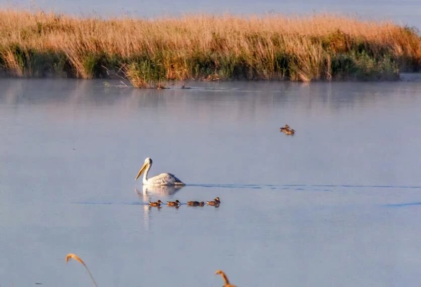 Фото: Андрей Попов