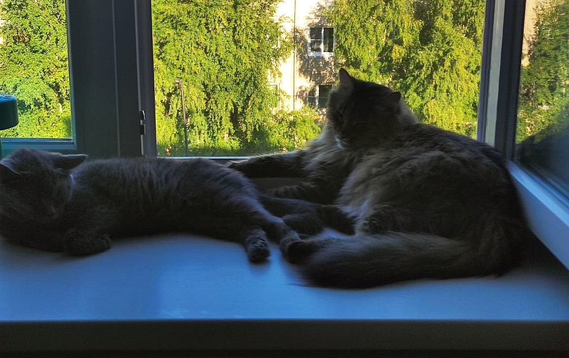 Галфира Ивановна и Ваня