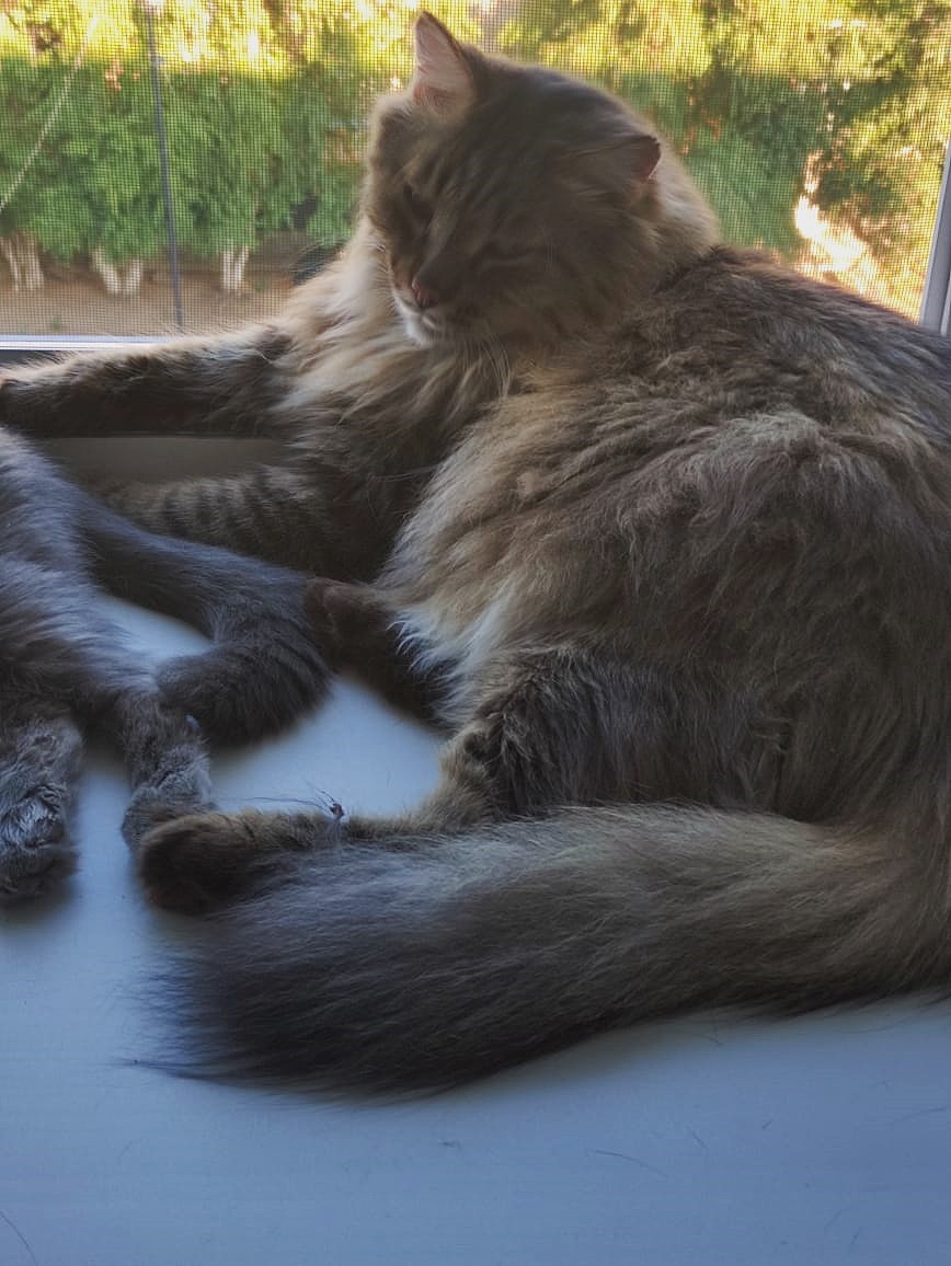 Ваня, разморило на жаре)