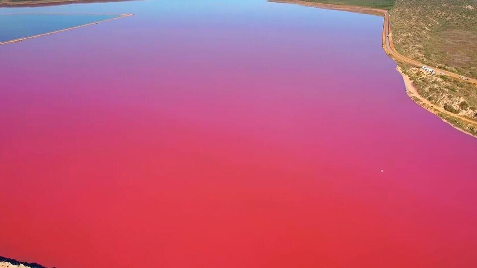 Фото: © Кадр из программы "Невероятно интересные истории", РЕН ТВ