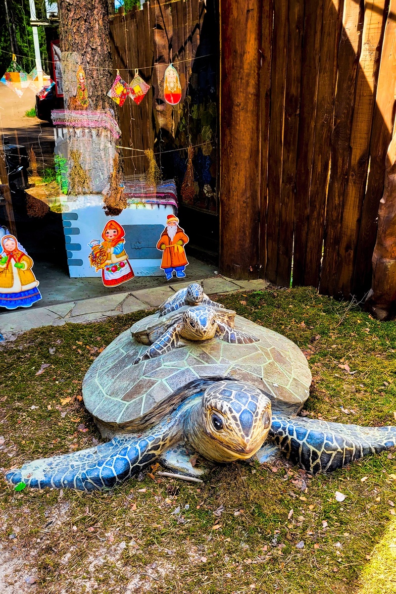 Черепах здесь можно встретить только в виде скульптур