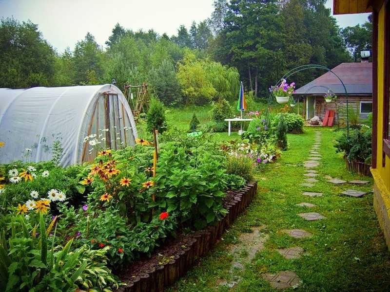 Чего ждать дачникам и владельцев частных домов этим летом: проверки, штрафы и новые правила содержания участков