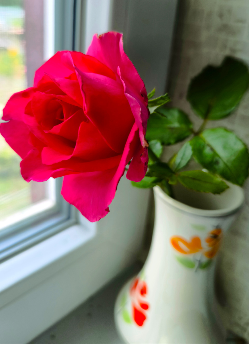 на следующий день раскрылась чуть больше