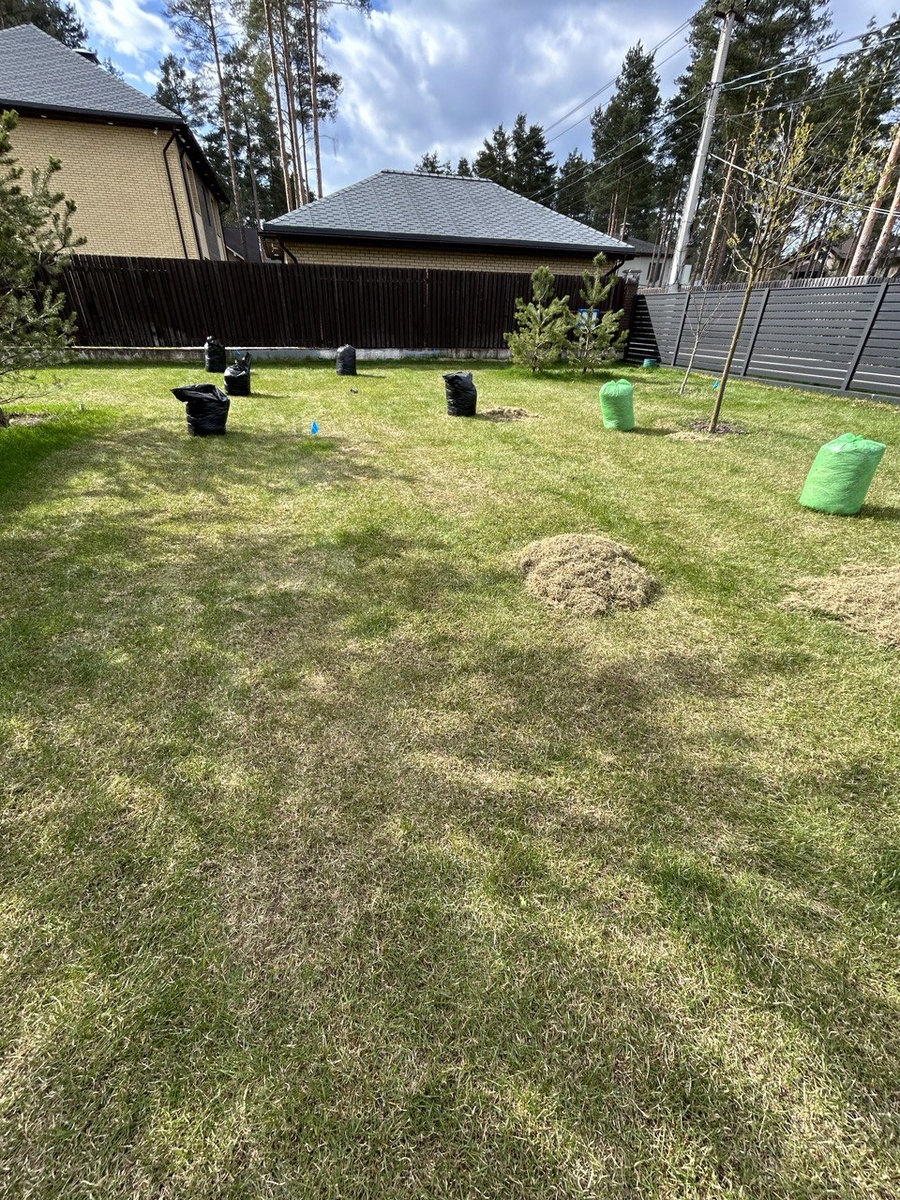 скарификация газона