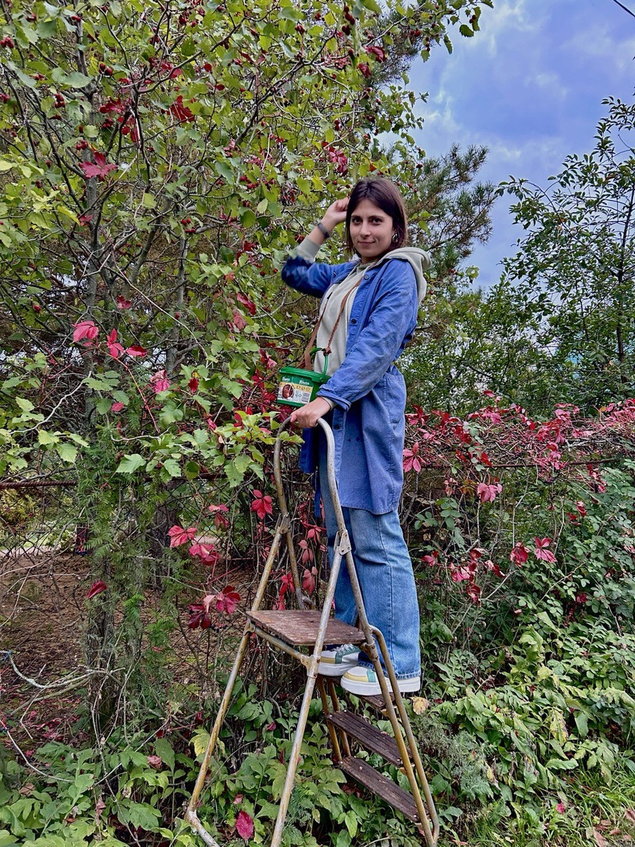 милое фото из сада