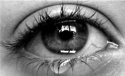 изображение из открытых источников