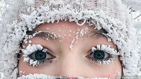 изображение из открытых источников