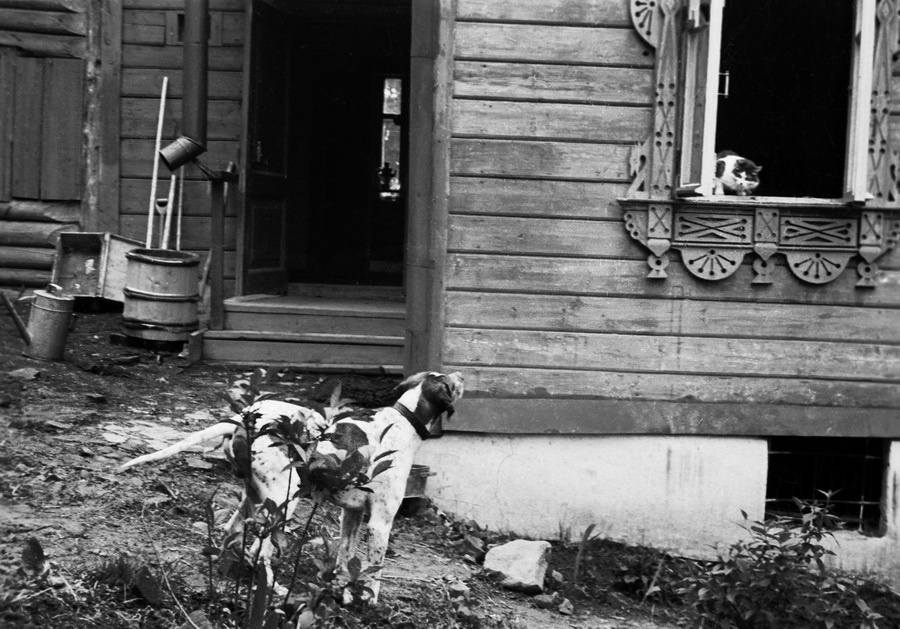 Из серии «Природа». Михаил Пришвин, 1928 - 1936 год, Государственный Литературный музей.
