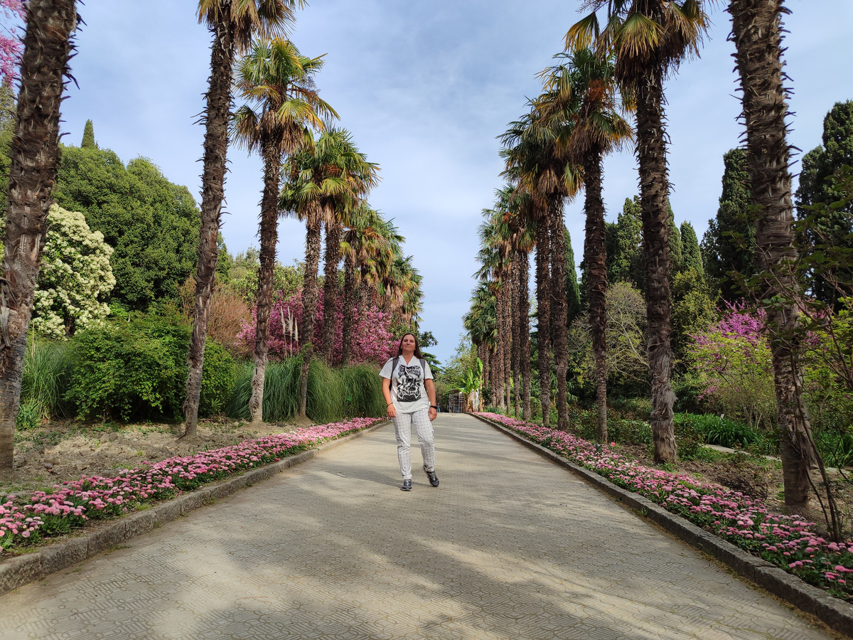 Пальмовая аллея в НБС, Крым