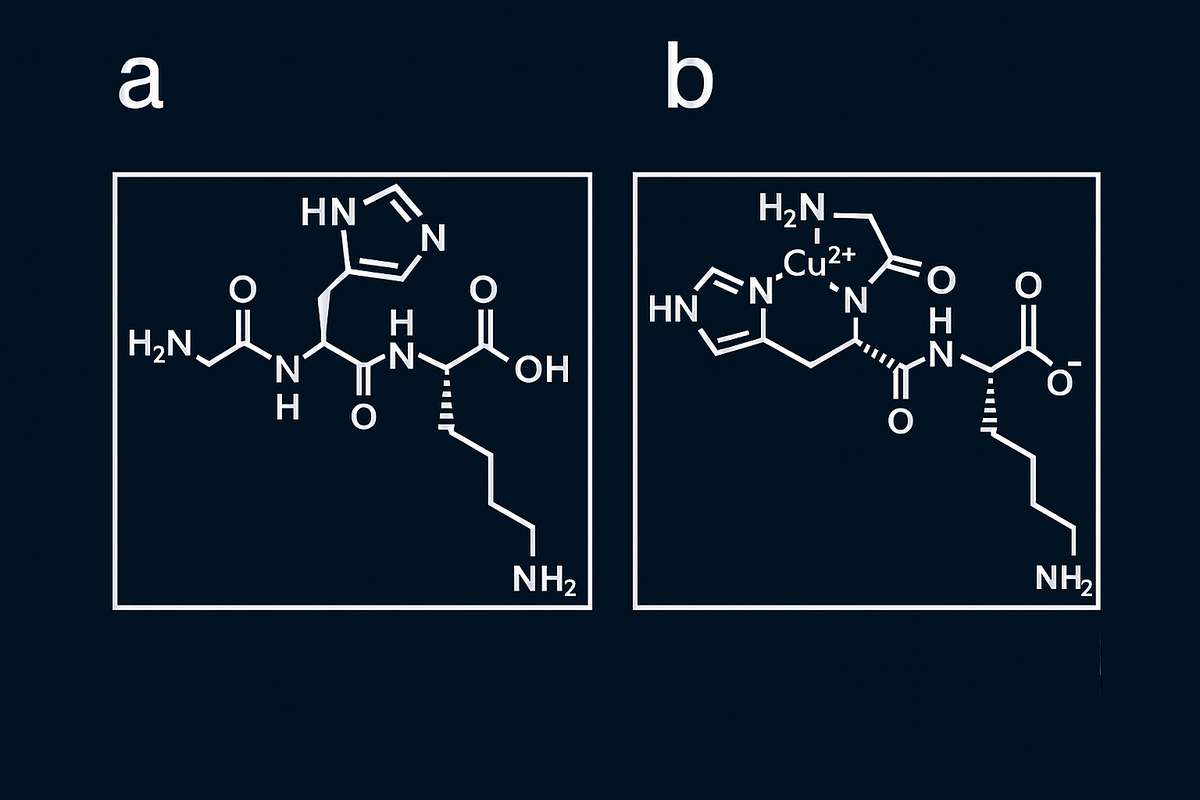 GHK (слева) и GHK-Cu (справа) 