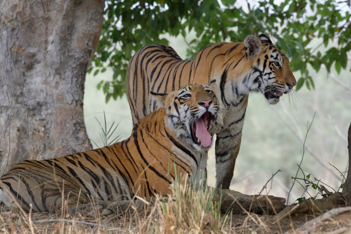     / Источник: © Therin-Weise/Global Look Press