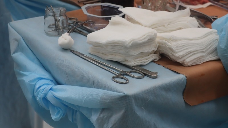      Фото: Елизавета Боброва / / ИА «Победа26»