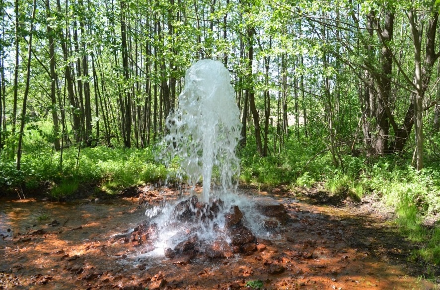 Тамбовский гейзер 2025 г. 