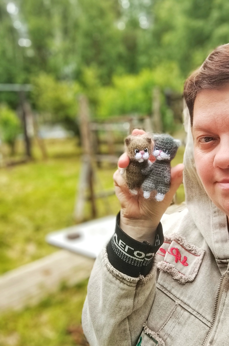 Эти котятки отличные путешественники!