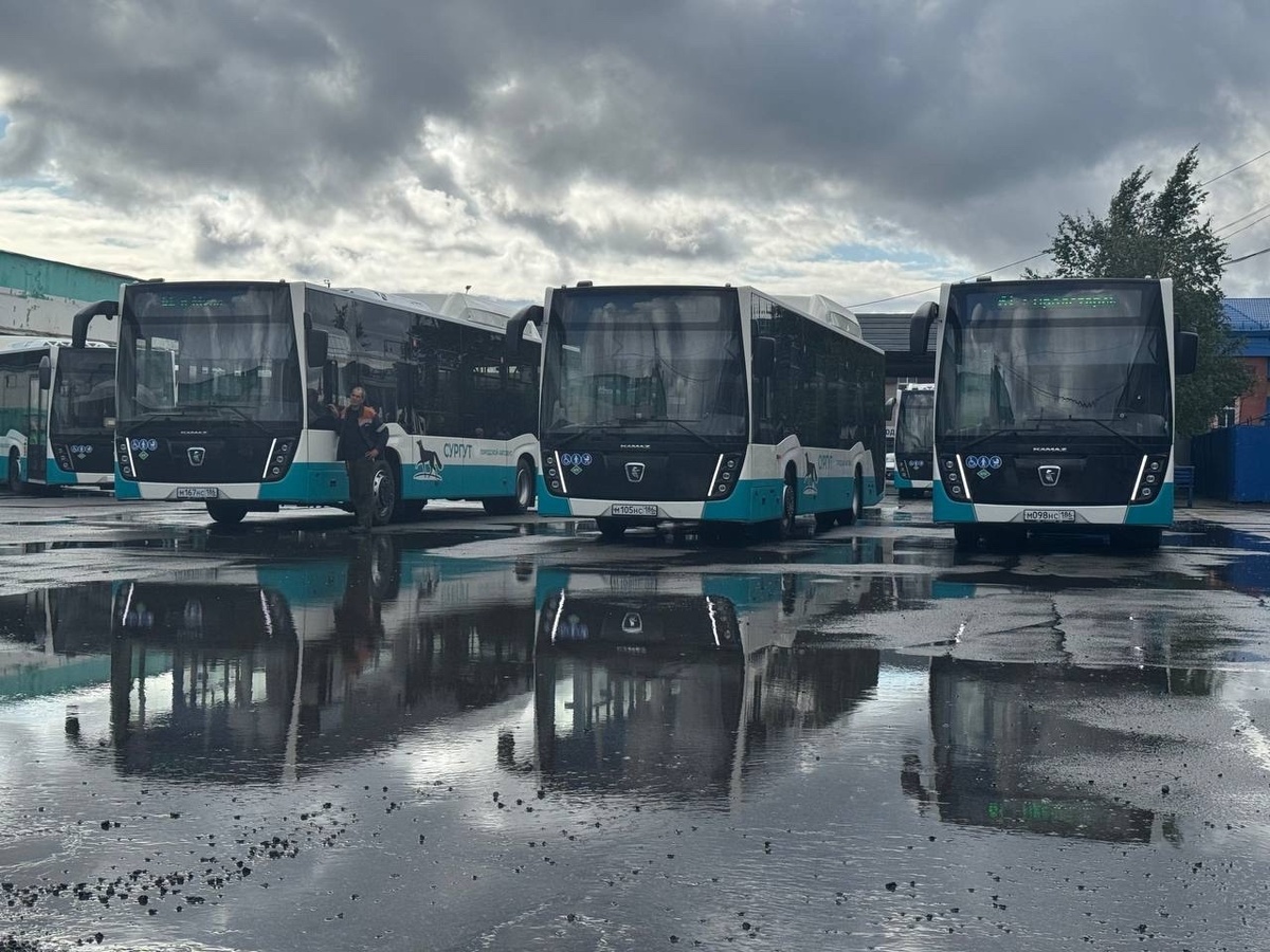    В Сургуте на городские маршруты вышли новые автобусы