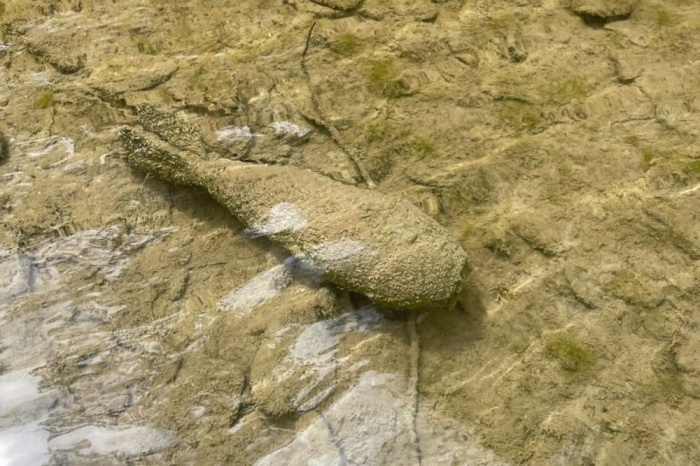    t.me/rosgvard_krasnodar